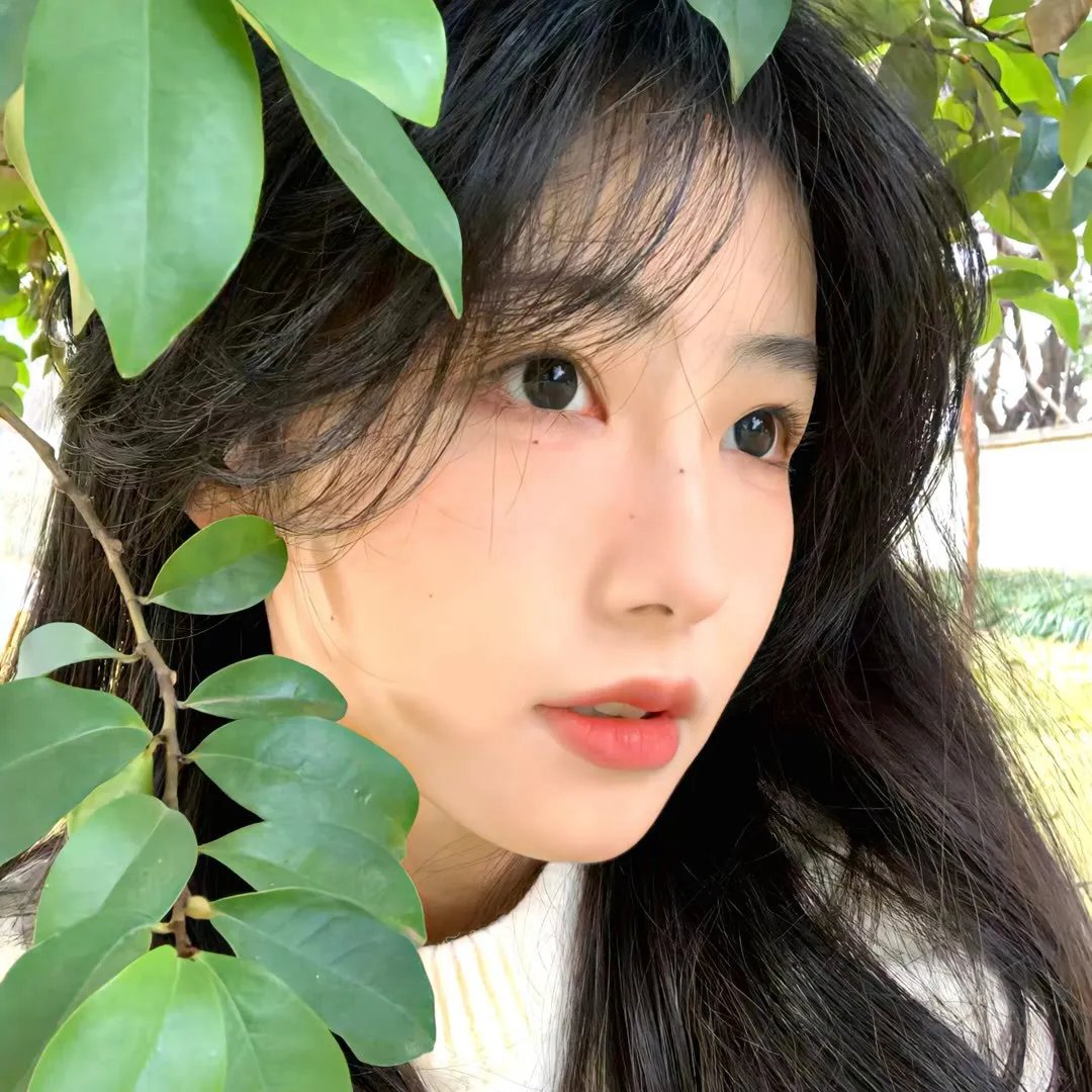 林投记