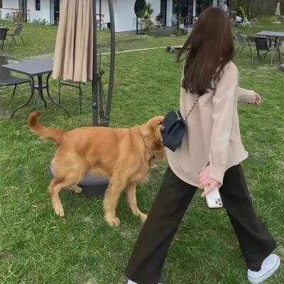 人鱼